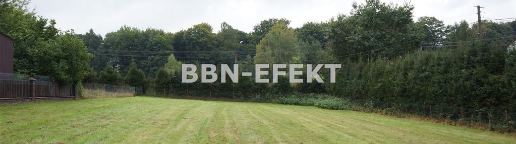 1174 mkw w sąsiedztwie lasu