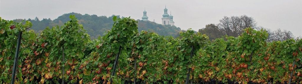 Bielany-duża działka do sprzedaży.