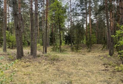 Działka w lesie 2064 m² - letniskowa i całoroczna