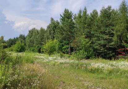 Budowlana działka z lasem łoś gm. prażmów