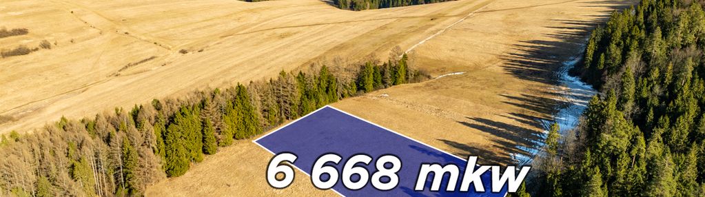 Szukasz lokaty kapitału w sąsiedztwie lasu?