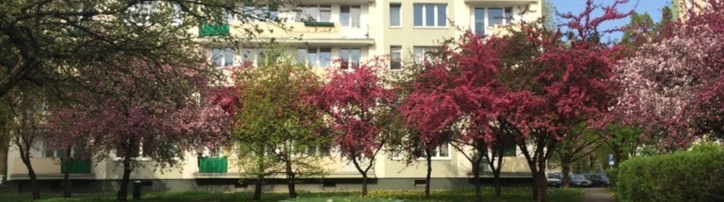 3-pokojowe mieszkanie na targówku