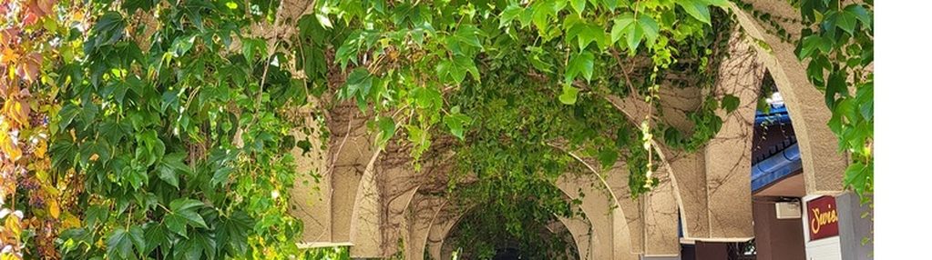 Mieszkanie z pięknymi widokami