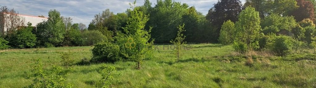 Działka budowlana w wymiarkach.