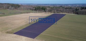 Działka rolna krzewie małe