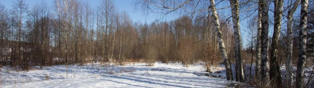 Działka budowlana - skrybicze