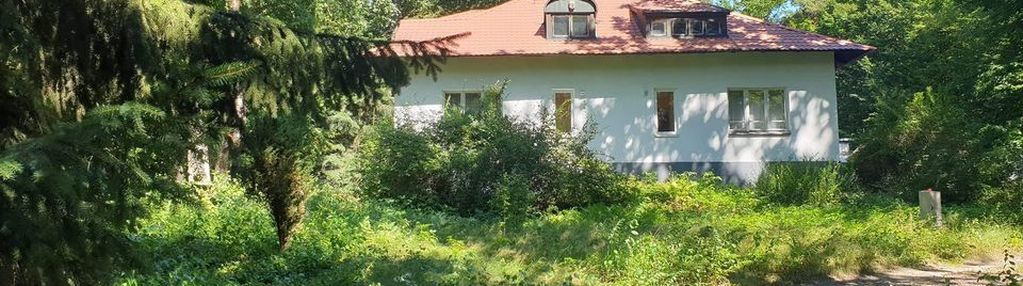Działka budowlana zalesie dolne