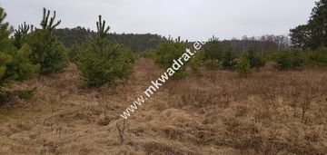 Ciekawa oferta w niskiej cenie