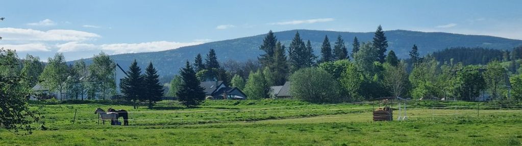 Piękna działka w karpnikach!