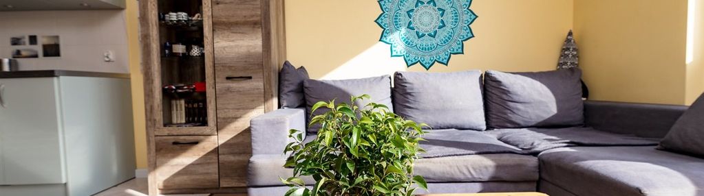 Apartament w modnej kamienicy!!