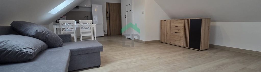 Nowoczesne studio 32 m² w blachowni