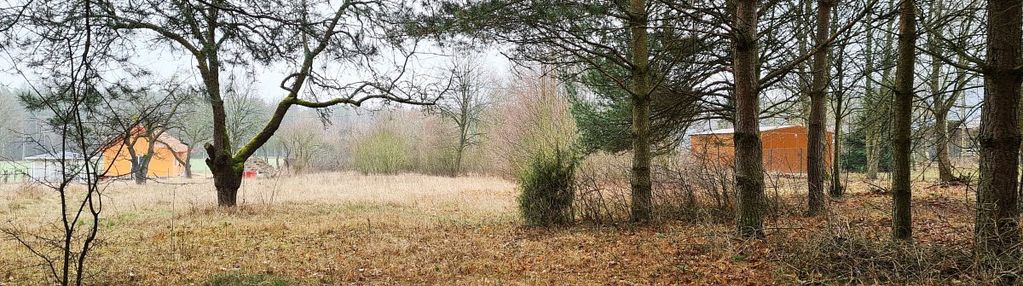 Działka 1743 m2, pieńki