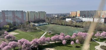 Mieszkanie po remoncie na gaju