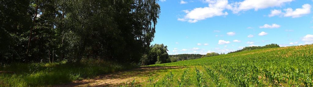 Działka budowlana na mazurach rożyńsk wielki
