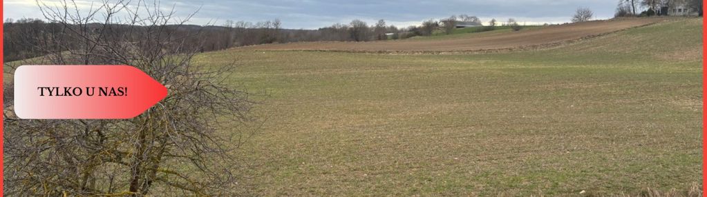 Działki z potencjałem  - liniewskie góry