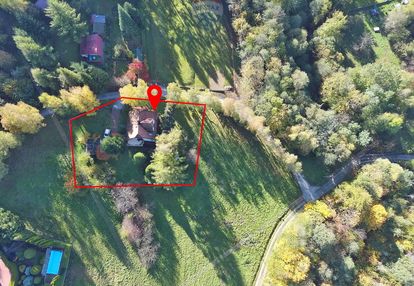 Dom wolnostojący w otoczeniu lasu