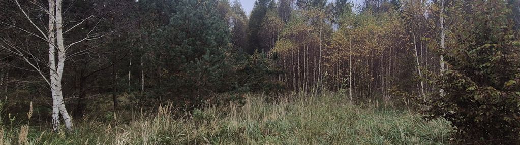 Działka na skraju lasu, 3 min. do jeziora