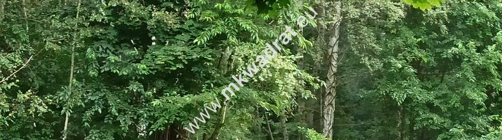 Działka granica blisko wkd nowa wieś