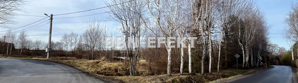 Bielsko-biała, lipnik