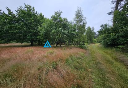 Działka leśna