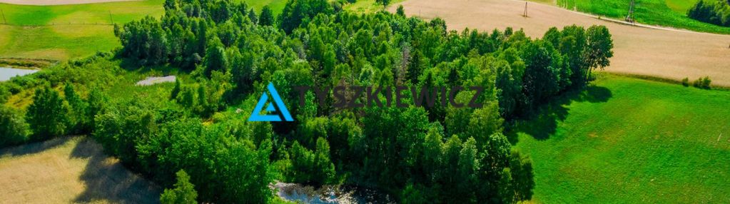 Malownicza zalesiona działka ze stawem w gołczewie