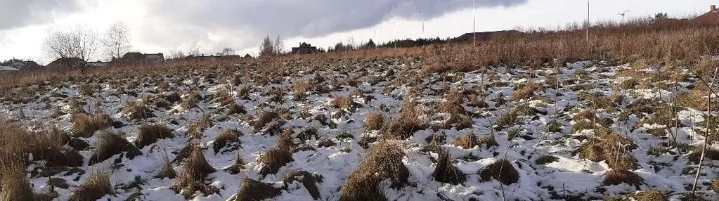 Działka na sprzedaż 8500m2