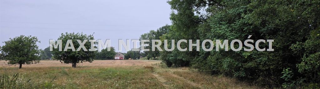 Piękne siedlisko w radzymin k/płońska /pow. 3 ha