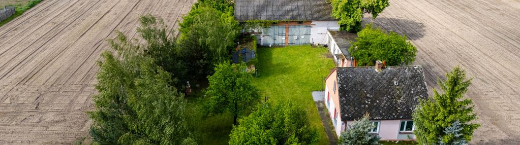 Dom wśród drzew i śpiewu ptaków