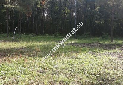 Ojrzanów - urocza działka w otulinie lasu