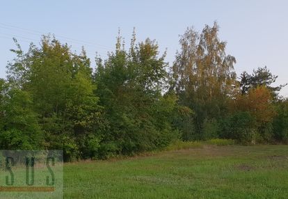 Kupujący nie płaci prowizji !!!