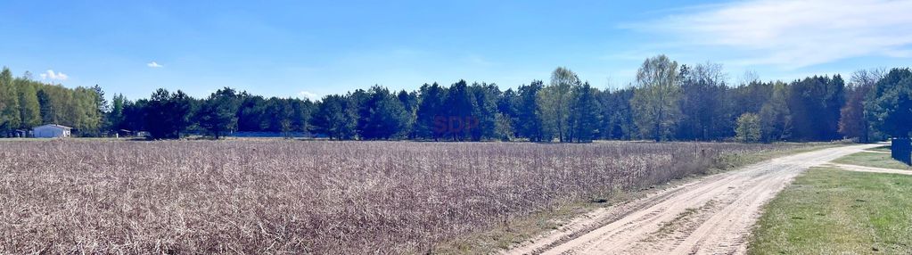 Spokój, natura, potencjał – 1,7 ha działki!