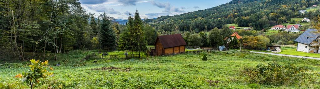 Działka widokowa z własnym lasem