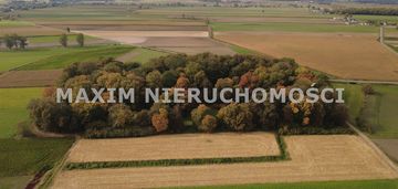 Park podworski kiełki – rezydencja z historią