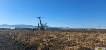 Uzbrojone działki budowlane w dzierżoniowie