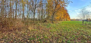 Działka bud-rolna łomnica -2,47 ha