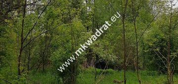 Korabiewice działka leśna