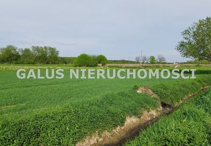 Działka orna - książ wielki