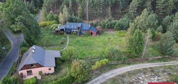 Siedlisko | 2ha lasu | bory tucholskie