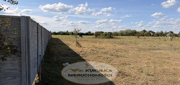 Działka budowlana z warunkami zabudowy - borek