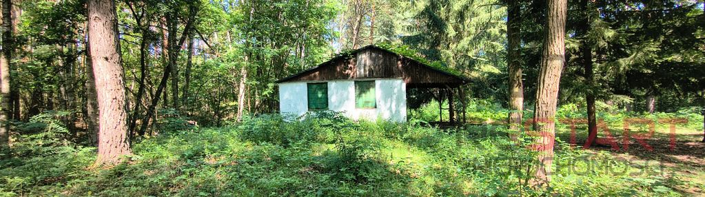 Działka w otulinie lasu! domek do rozbudowy.