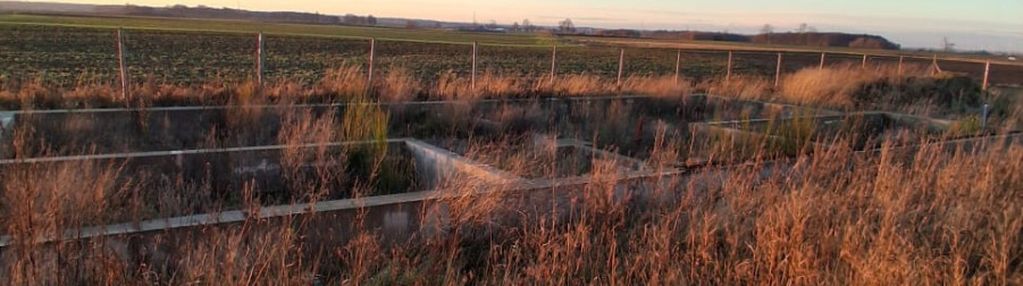 | okolica | 0% prowizji | gotowy projekt |