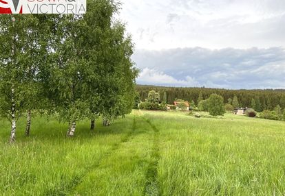 Sielankowa działka z lasem, cisza i spokój