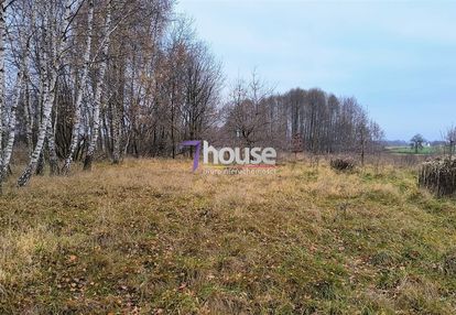 Działka z mpzp 4319m2