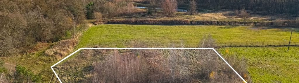 Dom,bliźniak,jezioro,mpzp,budowlana,las,zieleń