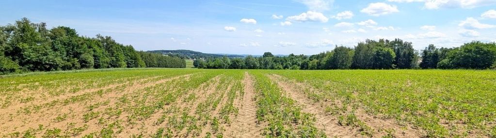 Sławkowice | 13a + możliwość dokupienia 12a
