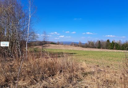 Widokowa działka - stadnina koni, agroturystyka!