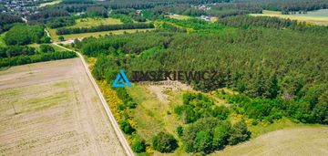 Działka rolna o pow. 1 ha  dębnica kaszubska