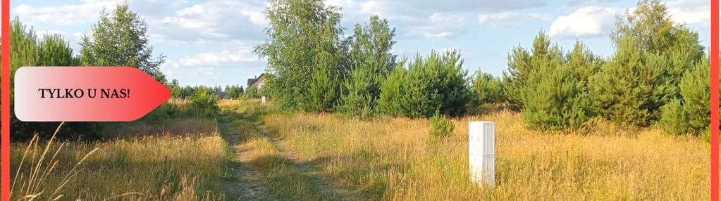 Stronno 1002 m2 w spokojnej cichej okolicy