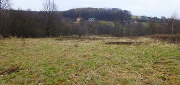 Duża budowlano-rolna działka w sułkowie, 55a