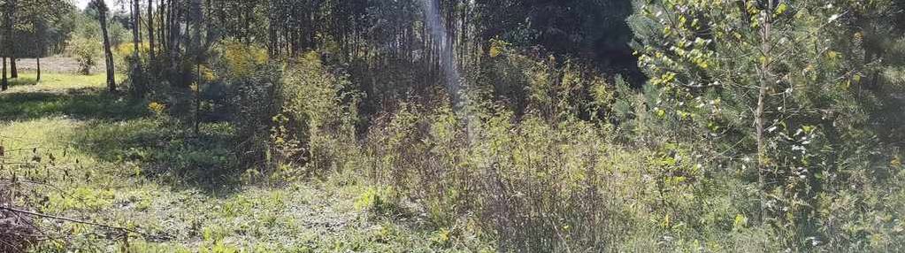 Działka teodorów - 1025 m2 !